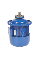 Двигатель подъема для талей электрических CD1 3,2 т ZD1 32-4 (4,5 кВт) Двигатель подъема для талей электрических CD1 3,2 т ZD1 32-4 (4,5 кВт)