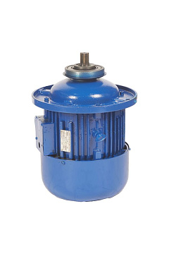 Двигатель подъема для талей электрических CD1 3,2 т ZD1 32-4 (4,5 кВт) Двигатель подъема для талей электрических CD1 3,2 т ZD1 32-4 (4,5 кВт)