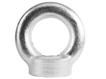 Рым-гайка TOR DIN 582 24мм (Y) Рым-гайка TOR DIN 582 24мм (Y)