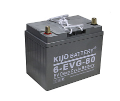 Аккумулятор свинцово-кислотный герм. (GEL) 12В/100Ач (20Hr) 260х168х211 для штабелёров IWS/WS15H Аккумулятор свинцово-кислотный герм. (GEL) 12В/100Ач (20Hr) 260х168х211 для штабелёров IWS/WS15H